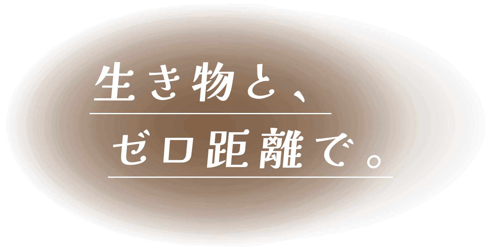 生き物と、ゼロ距離で。