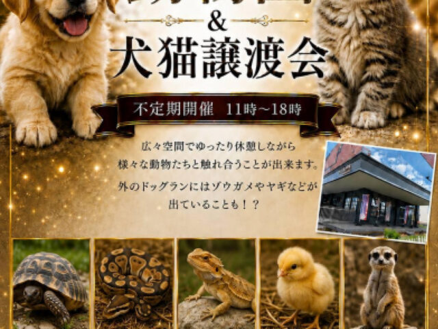 佐久ふれあい動物園＆犬猫譲渡会