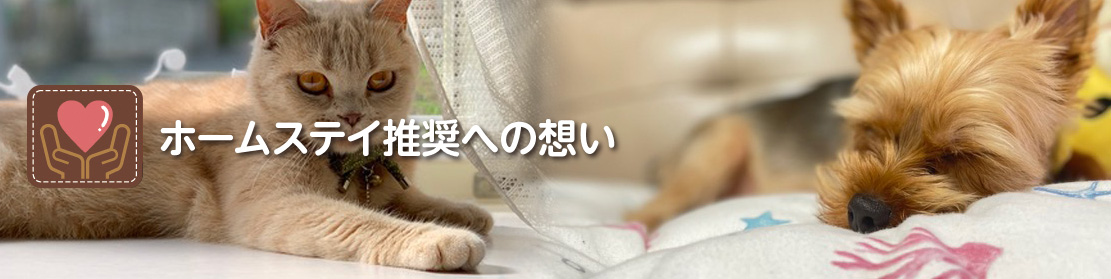 ホームステイ推奨への想い