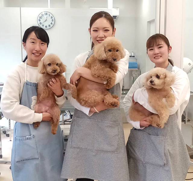 トーリーメイト平塚店