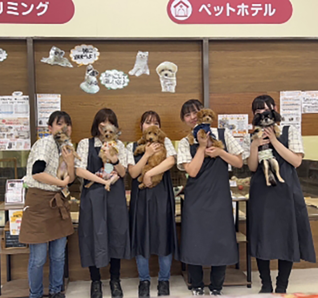ペッツマックス新習志野店