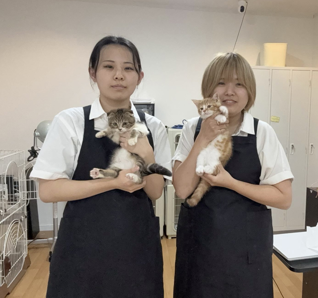 トーリーメイト寒川店