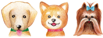 ペットホテルへの想い