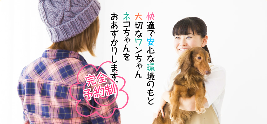 ペットホテル