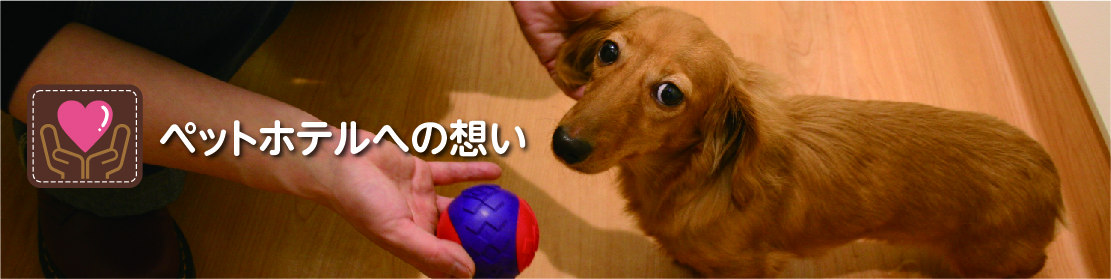 ペットホテルへの想い