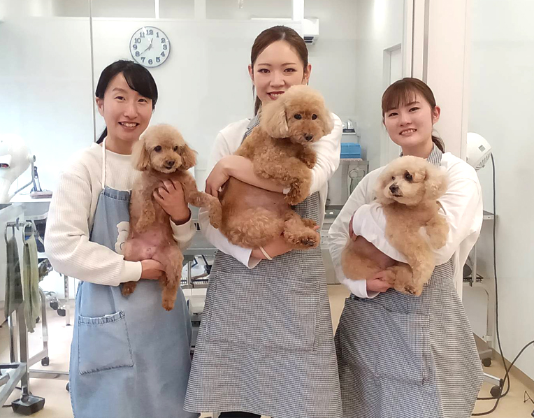 トーリーメイト平塚店