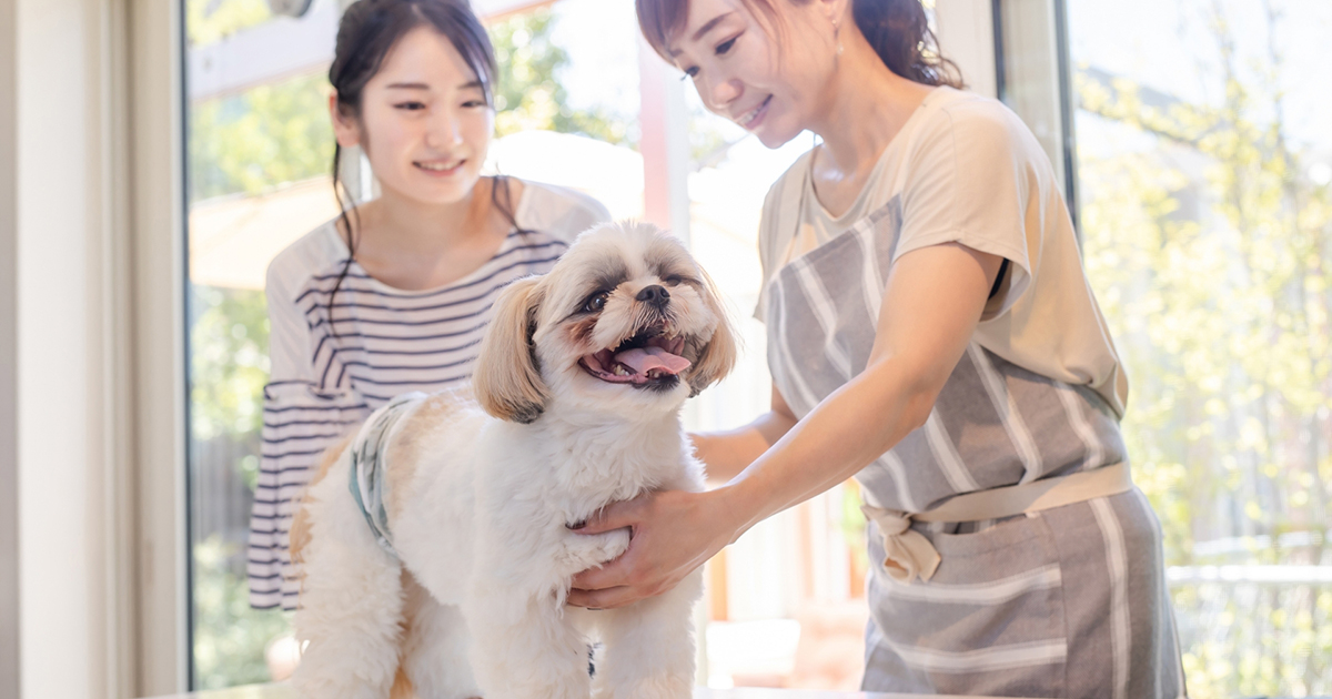 ペットホテルへの想いの写真(静岡県静岡市駿河区)